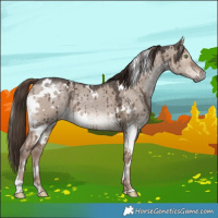Horse Color:White Spotted Liver Red Dun Ice Brindle 