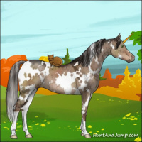 Horse Color:White Spotted Liver Red Dun Brindle 