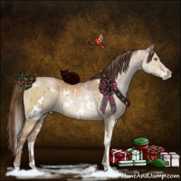 Horse Color:White Spotted Brown Pearl Dun Brindle 