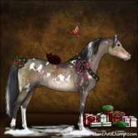 Horse Color:White Spotted Brown Dun Brindle