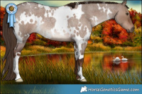 Horse Color:White Spotted Liver Red Dun Roan