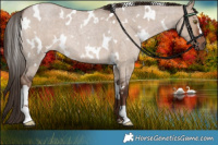 Horse Color:White Spotted Liver Red Dun Roan