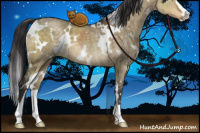 Horse Color:White Spotted Buckskin Dun Mushroom Sabino Brindle