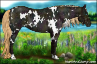 Horse Color:Watercolor White Spotted Midnight Chocolate Palomino Ice Pearl Dun 