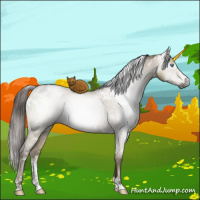 Horse Color:Gray White Spotted Smoky Grullo Ice Pearl Mushroom Brindle