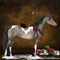 Horse Color:Brown Ice Dun Sabino Tobiano Brindle 