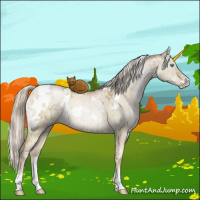 Horse Color:White Spotted Chocolate Palomino Pearl Dun Sabino Brindle