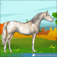Horse Color:White Spotted Chocolate Palomino Pearl Dun Sabino Brindle