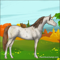 Horse Color:Smoky Grullo Ice Pearl Sabino Brindle 