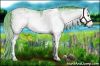 Horse Color:Gray Watercolor White Spotted Liver Chestnut Tobiano Rabicano