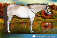 Horse Color:White Spotted Liver Red Dun Tobiano 