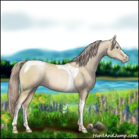 Horse Color:Chocolate Palomino Pearl Dun Tobiano