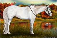 Horse Color:Chocolate Palomino Pearl Tobiano 