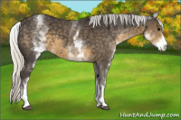 Horse Color:White Spotted Silver Smoky Black 