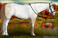Horse Color:White Spotted Liver Red Dun Pearl