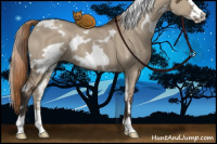 Horse Color:White Spotted Liver Red Dun Frame 