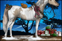 Horse Color:White Spotted Liver Red Dun Tobiano Rabicano 