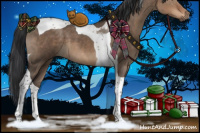 Horse Color:Brown Dun Tobiano 