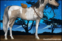 Horse Color:White Spotted Brown Dun Tobiano 