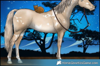 Horse Color:White Spotted Chocolate Palomino Pearl Dun