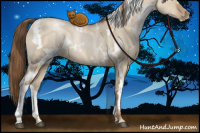 Horse Color:White Spotted Liver Red Dun Pearl 