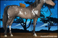 Horse Color:White Spotted Brown Dun