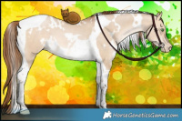 Horse Color:White Spotted Brown Pearl Dun Tobiano 
