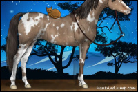 Horse Color:White Spotted Liver Red Dun Sabino 