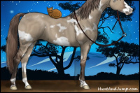 Horse Color:White Spotted Liver Red Dun Frame