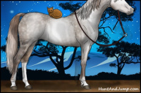 Horse Color:Gray Liver Red Dun Ice Sabino 