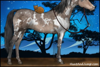 Horse Color:White Spotted Brown Ice Dun