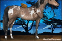 Horse Color:White Spotted Brown Dun 