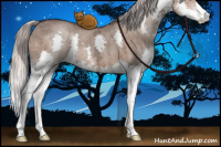 Horse Color:Silver Brown Ice Dun Sabino Splash 