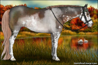 Horse Color:Liver Chestnut Sabino Rabicano 