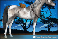 Horse Color:Brown Ice Onyx Mushroom Tobiano Brindle 