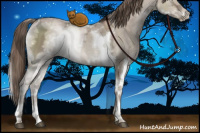 Horse Color:White Spotted Grullo Ice Pearl Mushroom Tobiano 