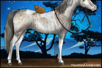 Horse Color:Liver Red Dun Ice Onyx Mushroom Sabino Tobiano Brindle 