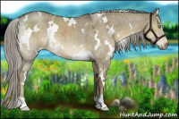 Horse Color:White Spotted Chocolate Palomino Roan Dun Mushroom