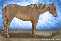 Horse Color:Chocolate Palomino Roan  and Chocolate Palomino Roan 