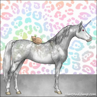 Horse Color:White Spotted Silver Grullo Chinchilla Sabino 