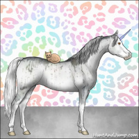 Horse Color:Silver Grullo Chinchilla Onyx Sabino Splash Brindle