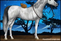 Horse Color:Grullo Chinchilla Ice Tobiano 