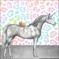 Horse Color:White Spotted Silver Grullo Chinchilla Sabino