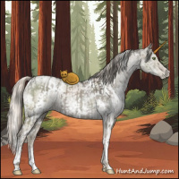 Horse Color:White Spotted Liver Red Dun Ice Brindle  and White Spotted Chocolate Palomino Ice Pearl Dun Mushroom Brindle 