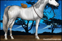 Horse Color:Gray White Spotted Chocolate Palomino Ice Dun 