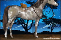 Horse Color:White Spotted Liver Red Dun Ice