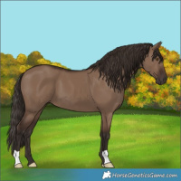 Horse Color:Liver Red Dun 