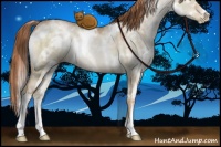 Horse Color:White Spotted Buckskin Pearl Dun