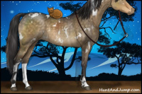 Horse Color:White Spotted Buckskin Dun Mushroom Sabino Brindle