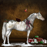 Horse Color:White Spotted Liver Red Dun Mushroom Rabicano Brindle